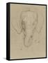 Tête d'éléphant-Charles Le Brun-Framed Stretched Canvas