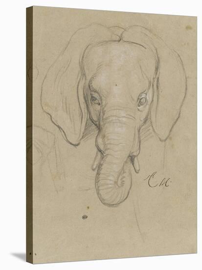 Tête d'éléphant-Charles Le Brun-Stretched Canvas