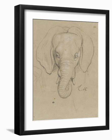 Tête d'éléphant-Charles Le Brun-Framed Giclee Print