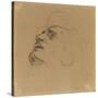 Tête d'homme renversé en arrière-Eugene Delacroix-Stretched Canvas