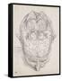 Tête d'homme vue de dessus, la calotte crânienne enlevée-Charles Le Brun-Framed Stretched Canvas
