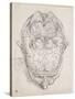 Tête d'homme vue de dessus, la calotte crânienne enlevée-Charles Le Brun-Stretched Canvas