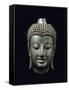 Tête de Buddha-null-Framed Stretched Canvas