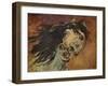 'Tete De Cheval Andalou', c1910-Alfred Roll-Framed Giclee Print