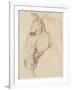 Tête de cheval bridée, tournée vers la gauche-Edme Bouchardon-Framed Giclee Print