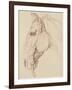 Tête de cheval bridée, tournée vers la gauche-Edme Bouchardon-Framed Giclee Print