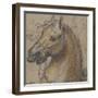 Tête de cheval-Charles Le Brun-Framed Giclee Print