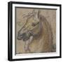 Tête de cheval-Charles Le Brun-Framed Giclee Print