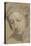 Tête de femme, de trois quarts vers la gauche-Raffaello Sanzio-Stretched Canvas