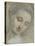 Tête de femme inclinée à droite, regardant vers le bas-Federico Barocci-Stretched Canvas