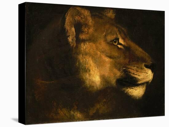 Tete de lionne. Head of a lioness-Theodore Gericault-Stretched Canvas