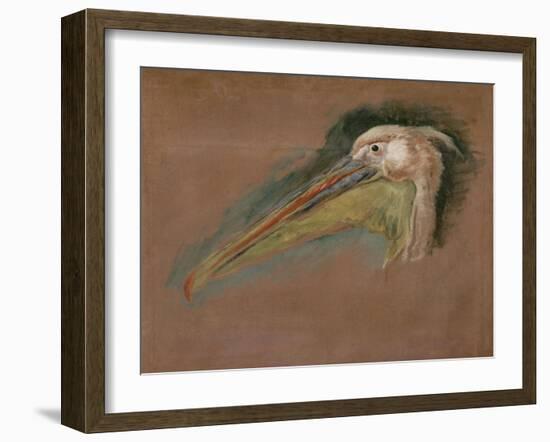 Tête de pélican-Pieter Boel-Framed Giclee Print