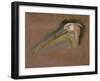 Tête de pélican-Pieter Boel-Framed Giclee Print