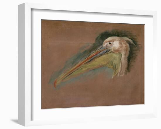 Tête de pélican-Pieter Boel-Framed Giclee Print