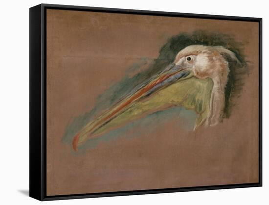 Tête de pélican-Pieter Boel-Framed Stretched Canvas