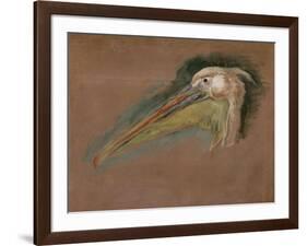 Tête de pélican-Pieter Boel-Framed Giclee Print