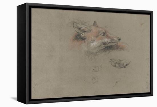 Tête de renard et une patte-Pieter Boel-Framed Stretched Canvas