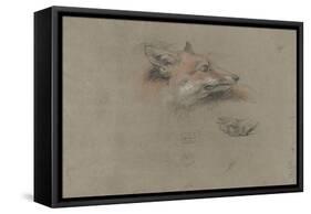 Tête de renard et une patte-Pieter Boel-Framed Stretched Canvas