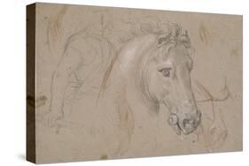 Tête et encolure de cheval de profil à droite, poitrail avec les jambes et divers croquis-Pierre Mignard-Stretched Canvas