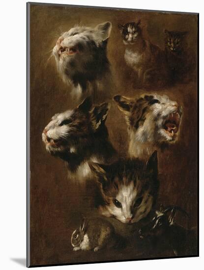 Têtes de chats, un lapin, une tête de chèvre-Pieter Boel-Mounted Giclee Print