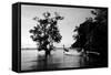 Tethered to a Mangrove Tree, a Long Tail Boat Floats Off Shore of East Railay Beach, Thailand-Dan Holz-Framed Stretched Canvas