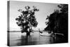 Tethered to a Mangrove Tree, a Long Tail Boat Floats Off Shore of East Railay Beach, Thailand-Dan Holz-Stretched Canvas