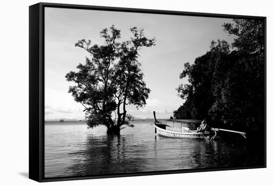 Tethered to a Mangrove Tree, a Long Tail Boat Floats Off Shore of East Railay Beach, Thailand-Dan Holz-Framed Stretched Canvas