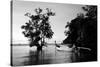 Tethered to a Mangrove Tree, a Long Tail Boat Floats Off Shore of East Railay Beach, Thailand-Dan Holz-Stretched Canvas