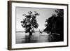 Tethered to a Mangrove Tree, a Long Tail Boat Floats Off Shore of East Railay Beach, Thailand-Dan Holz-Framed Photographic Print