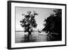 Tethered to a Mangrove Tree, a Long Tail Boat Floats Off Shore of East Railay Beach, Thailand-Dan Holz-Framed Photographic Print