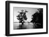 Tethered to a Mangrove Tree, a Long Tail Boat Floats Off Shore of East Railay Beach, Thailand-Dan Holz-Framed Photographic Print