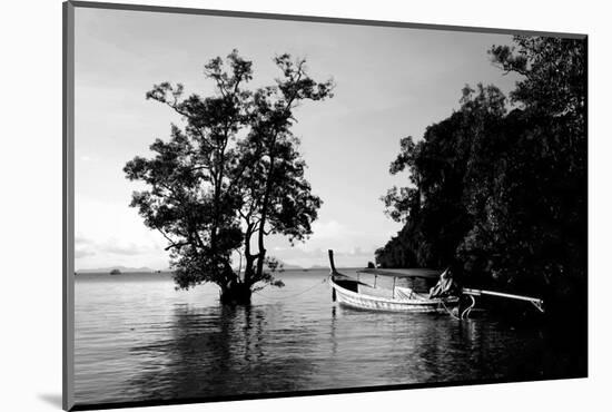 Tethered to a Mangrove Tree, a Long Tail Boat Floats Off Shore of East Railay Beach, Thailand-Dan Holz-Mounted Photographic Print
