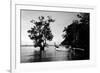 Tethered to a Mangrove Tree, a Long Tail Boat Floats Off Shore of East Railay Beach, Thailand-Dan Holz-Framed Photographic Print