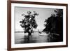 Tethered to a Mangrove Tree, a Long Tail Boat Floats Off Shore of East Railay Beach, Thailand-Dan Holz-Framed Photographic Print