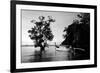 Tethered to a Mangrove Tree, a Long Tail Boat Floats Off Shore of East Railay Beach, Thailand-Dan Holz-Framed Photographic Print
