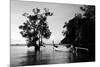 Tethered to a Mangrove Tree, a Long Tail Boat Floats Off Shore of East Railay Beach, Thailand-Dan Holz-Mounted Photographic Print