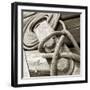 Tethering-null-Framed Premium Photographic Print