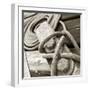 Tethering-null-Framed Premium Photographic Print