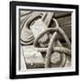 Tethering-null-Framed Photographic Print