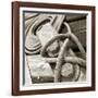 Tethering-null-Framed Photographic Print