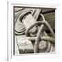 Tethering-null-Framed Photographic Print