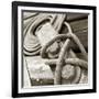 Tethering-null-Framed Photographic Print