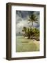 Tetiaora Lagoon in Polynesia-rafcha-Framed Photographic Print