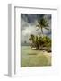 Tetiaora Lagoon in Polynesia-rafcha-Framed Photographic Print