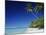 Tetiaroa, Tahiti-Douglas Peebles-Mounted Photographic Print