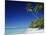 Tetiaroa, Tahiti-Douglas Peebles-Mounted Photographic Print