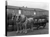 Tetley Shire Horses and Dray, Joshua Tetley Brewery, Leeds, West Yorkshire, 1966-Michael Walters-Stretched Canvas