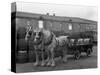 Tetley Shire Horses and Dray, Joshua Tetley Brewery, Leeds, West Yorkshire, 1966-Michael Walters-Stretched Canvas