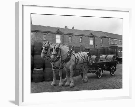Tetley Shire Horses and Dray, Joshua Tetley Brewery, Leeds, West Yorkshire, 1966-Michael Walters-Framed Photographic Print