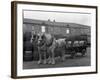 Tetley Shire Horses and Dray, Joshua Tetley Brewery, Leeds, West Yorkshire, 1966-Michael Walters-Framed Photographic Print